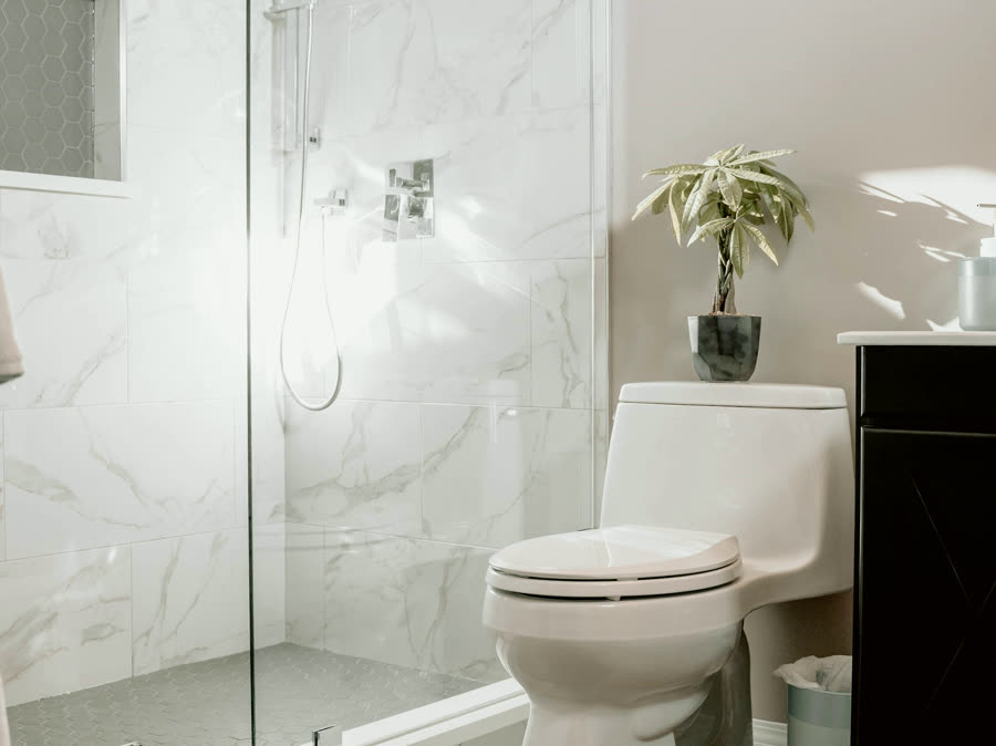 Curbless Porcelain, a level-entry glass shower in large-format tile